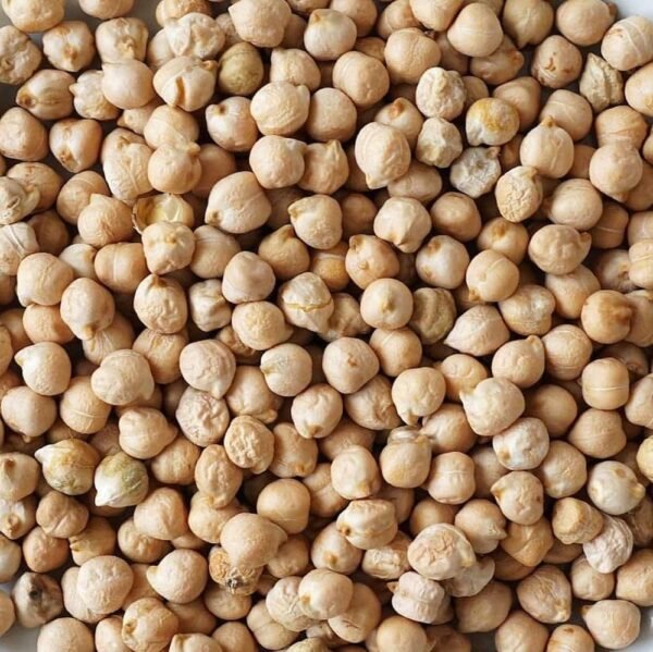 buy organic chickpeas in bulk