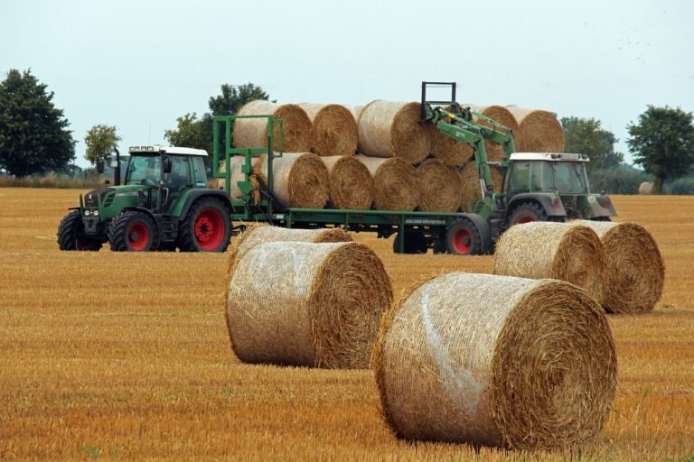 buy wholesale hay